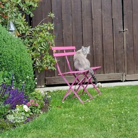 Avec Cheminee Et Exterieur Feriehus La Neuville-aux-Bois
