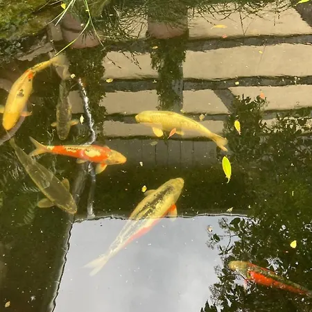 Vakantiehuis Avec Cheminee Et Exterieur La Neuville-aux-Bois